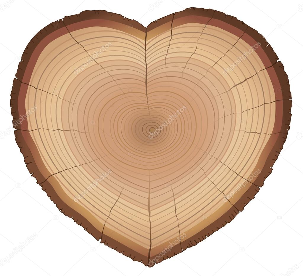 Love Nature Wood Rings Heart Shaped Symbol