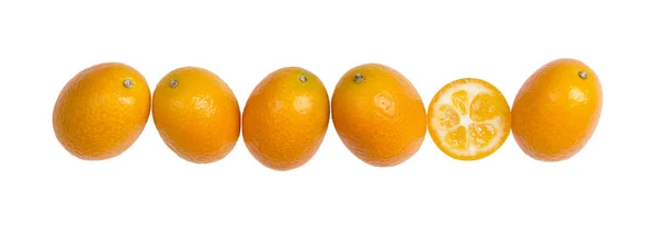 Šest oválný Kumquats v řadě na bílém pozadí — Stock fotografie