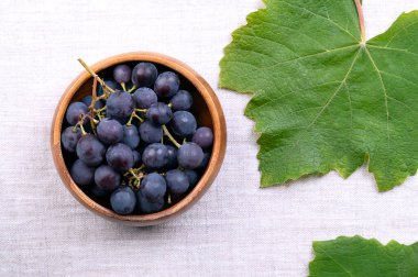 Blue grapes of the common grape vine, in a wooden bowl, on linen, from above. Freshly harvested, ripe fruits of Vitis vinifera, an European species, still on the vine, with leaves on the right side.
