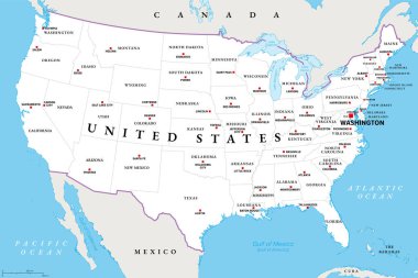 Birleşik Devletler anakarası, başkentlerle siyasi harita. Amerika Birleşik Devletleri 'ne komşu 48 eyalet ve Kuzey Amerika' daki Kolombiya Bölgesi 'nden oluşmaktadır. İllüzyon. Vektör