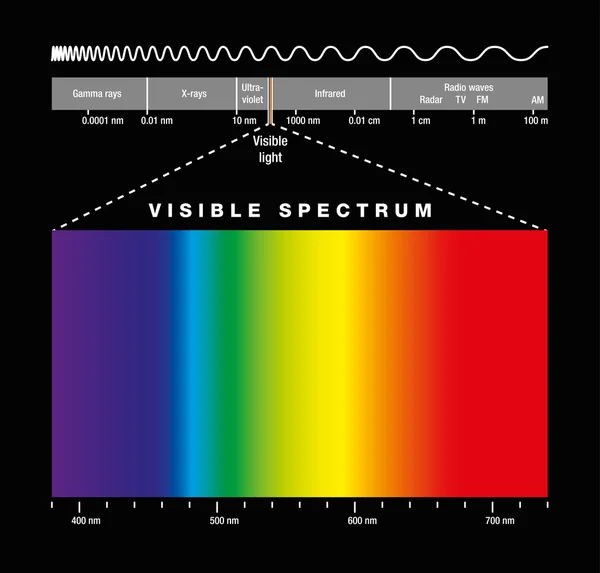 Espectro electromagnético y luz visible — Archivo Imágenes Vectoriales