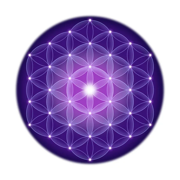 Bright Flower of Life With Stars on White Background — Stock Photo, Image