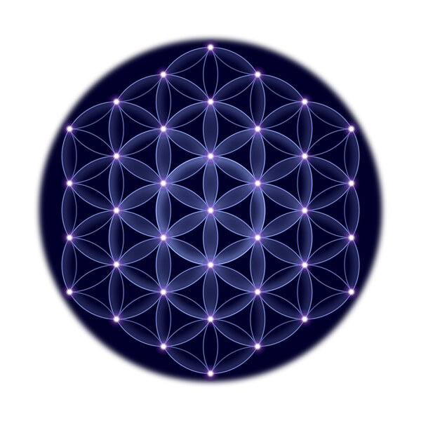 Cosmic Flower of Life With Stars on White Background