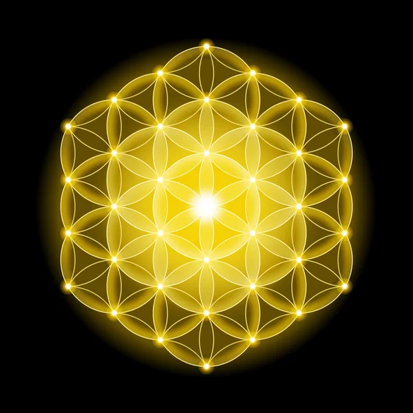 Siyah arka planda yıldızlarla hayatın altın kozmik çiçek