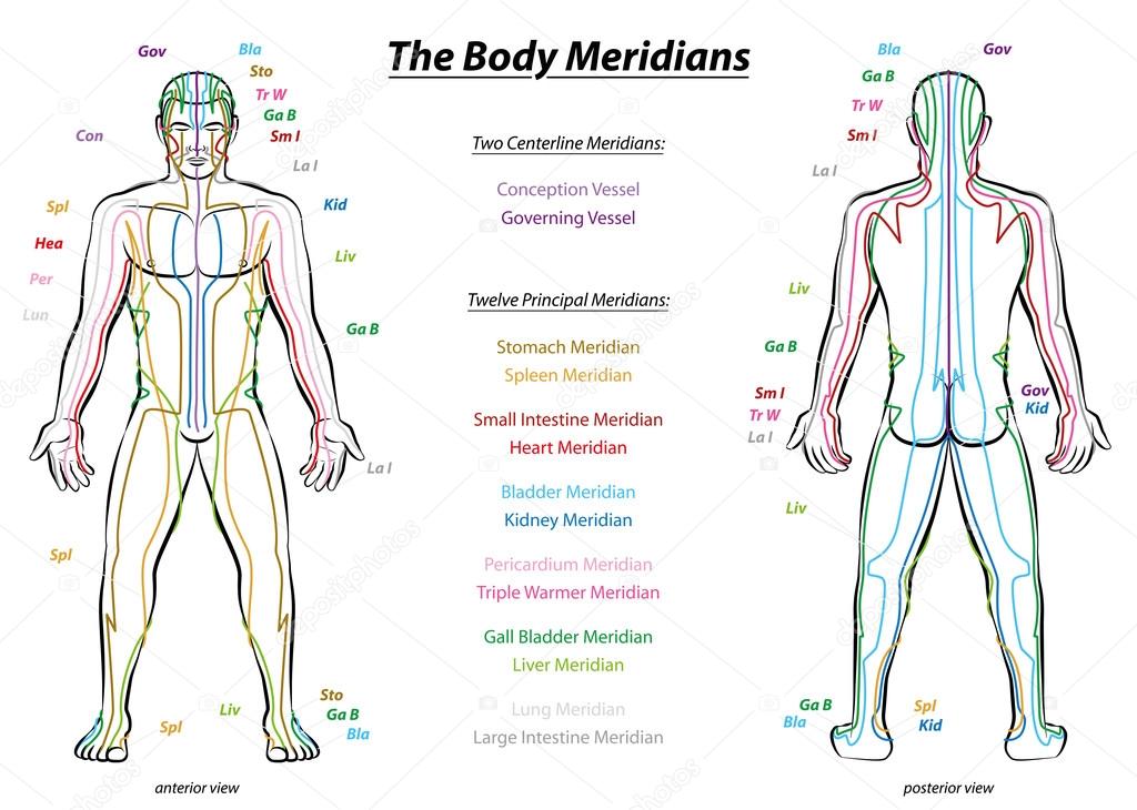 Meridian System Description Chart Male Body