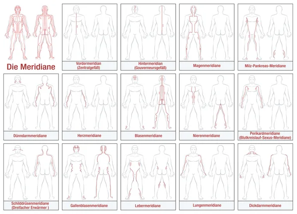 Vücut Meridyenler Almanca — Stok Vektör