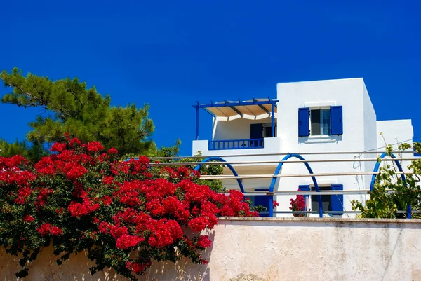 Callejón griego tradicional en la isla de Sifnos, Grecia — Foto de Stock