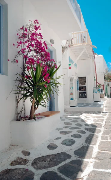 Ruelle grecque traditionnelle sur l'île de Mykonos, Grèce — Photo