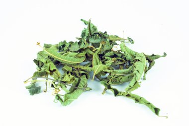 Beyaz arka planda Origanum dictamus
