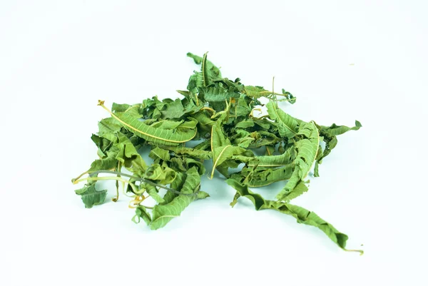 Beyaz arka planda Origanum dictamus