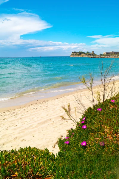 The famous beach at Halkidiki Peninsula, Greece — Stock Photo, Image