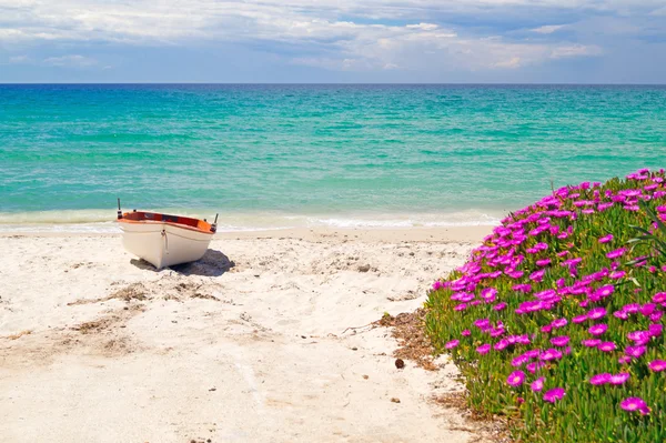 Ünlü plajda Halkidiki Yarımadası, Yunanistan