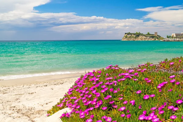 Знаменитий пляж на півострові Халкідікі, Греція — стокове фото