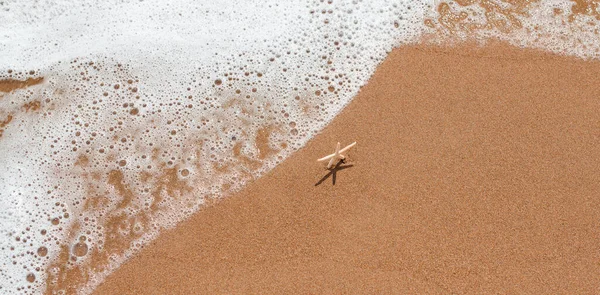 Prachtige Witte Zeester Die Zand Staat Wacht Golven Aan Kust — Stockfoto