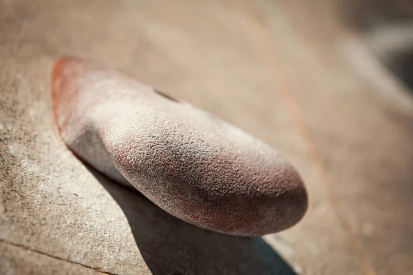 Macro photo of climbing holds on worn wall outside. Artificial rock climbing wall at park. Bouldering parkour detail.