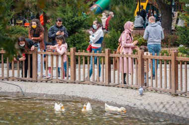 ANKARA-TURKEY, 25 Eylül 2021: İnsanlar Ankara 'daki Kugulu Parkı' nda ördeklerin fotoğraflarını çekiyor ve açık havada iyi vakit geçiriyor. Kuğu parkı Kankaya bölgesinde, kuğularıyla tanınır ama ördekleri ve kazları da vardır..