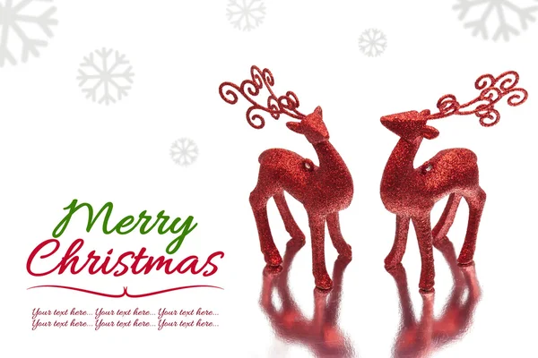 Два красных оленя на белом фоне Рождества — стоковое фото