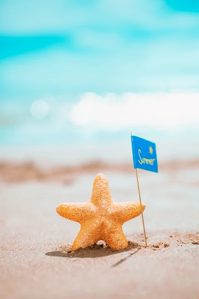 Startfisch mit Flagge am Meeresufer. Sommerkonzept mit Kopie sp — Stockfoto