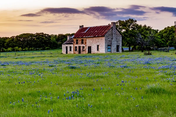 Abandoned Old House in Texas Wildflowers. — Stock Photo, Image