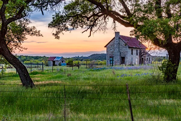 Övergivna gamla hus i Texas vildblommor. — Stockfoto