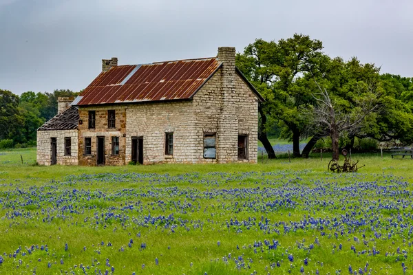 Verlassenes altes Haus in Texas Wildblumen. — Stockfoto