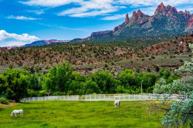 Çevre Zion National Park, Utah.