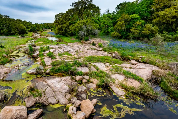 Skalista Creek Texas z polne kwiaty. — Zdjęcie stockowe