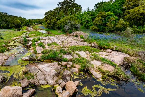 En stenig Texas Creek med blommor. — Stockfoto