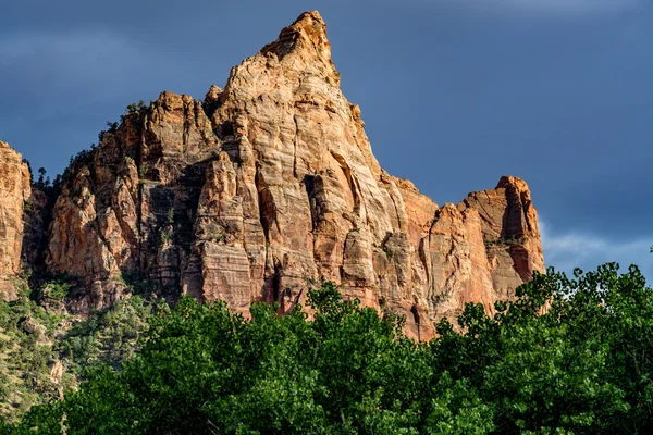 Ezen a helyen és közelében Utah Zion Nemzeti Park. — Stock Fotó