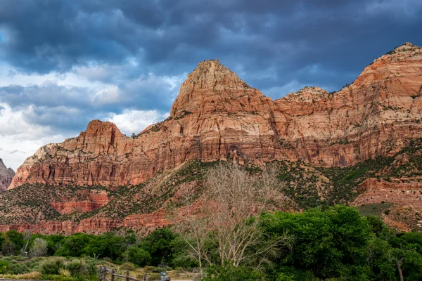 Nel o vicino al Parco Nazionale di Zion, Utah . — Foto Stock