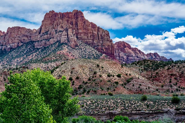 Parque Nacional Zion, Utah. —  Fotos de Stock