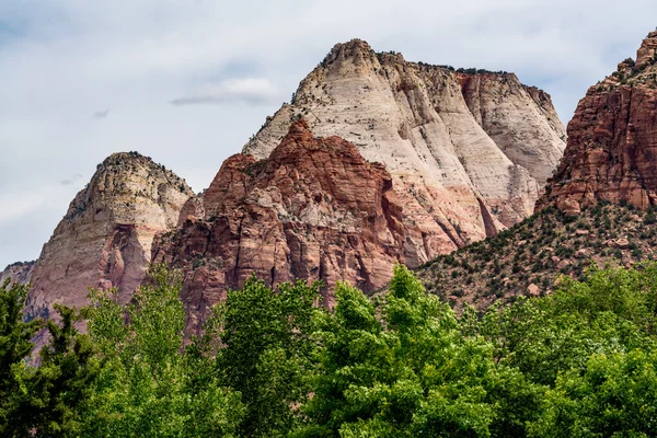 Zion Ulusal Parkı, Utah.