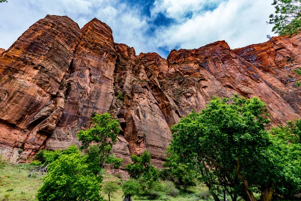 Národní park Zion, Utah. — Stock fotografie