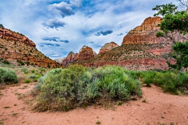 Zion Ulusal Parkı'nın Renkli Tepeleri, Utah.