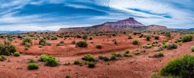 Zion National Park Yakınlarındaki Çölün Panoramik Manzarası, Utah.