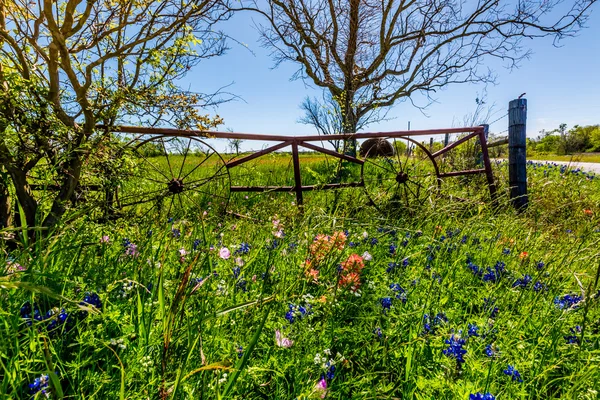 Um prado com portão e fardos de feno redondo e flores silvestres frescas do Texas — Fotografia de Stock
