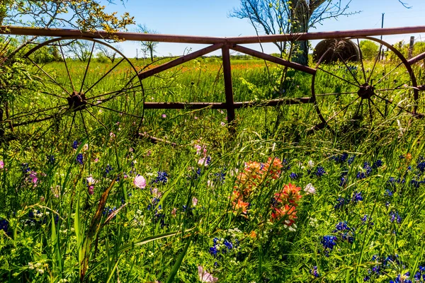 A Meadow with Round Hay Bales and Texas Wildflowers — Stock Photo, Image