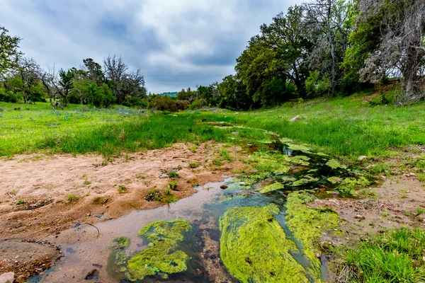 テキサスの景色にコケむしたクリーク — ストック写真