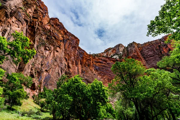 Multicolored Sheer Cliffs of Zion National Park, Utah. — Stock Photo, Image