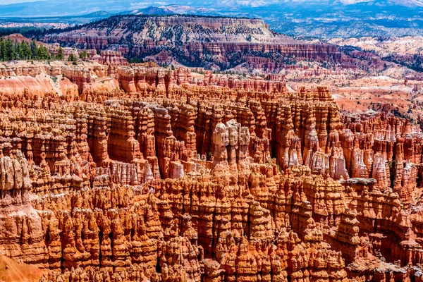 Barevné Hoodoo skalní útvary v Bryce Canyon National Park — Stock fotografie