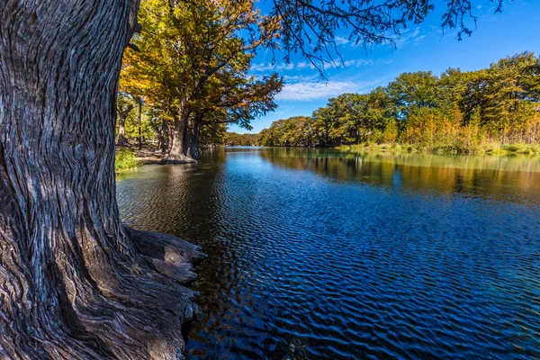 Parlak güzel sonbahar yaprakları Texas Crystal Clear Frio Nehri üzerinde.
