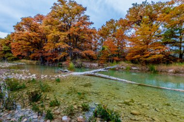 Crystal Clear Frio nehir, Texas çevreleyen güzel sonbahar yaprakları.