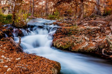 Guadelupe Nehri, Texas üzerinde güzel sonbahar yaprakları.