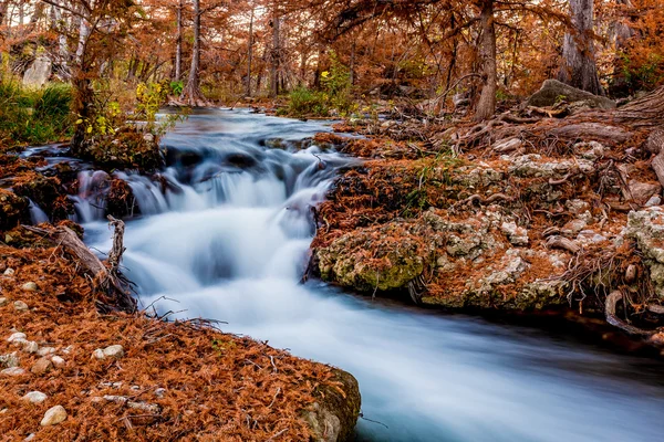 Guadelupe Nehri, Texas üzerinde güzel sonbahar yaprakları. — Stok fotoğraf