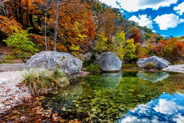 Beautiful Fall blad av förlorade Maples State Park, Texas. Royaltyfria Stockbilder