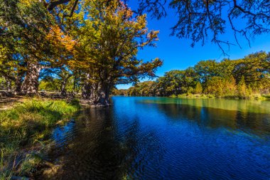 Crystal Clear Frio nehir, Texas çevreleyen güzel sonbahar yaprakları.