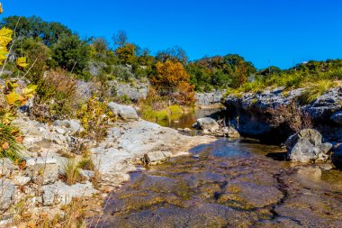 Sonbaharda yapraklar Texas Hill ülkede bir Crystal Clear dere üzerinde.