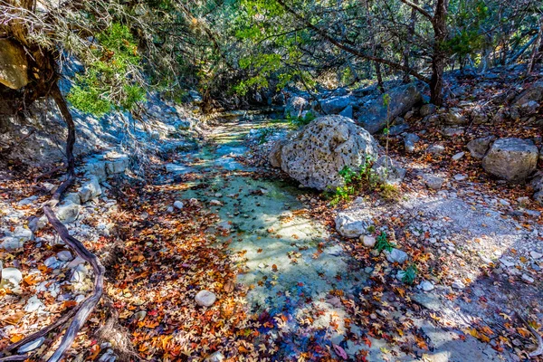 Beautiful Bright Colors of Fall Foliage at Lost Maples State Park, Texas — Stock Photo, Image