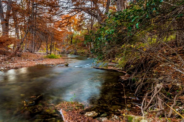 Beautiful Fall listí na Guadelupe řeky, Texas. — Stock fotografie