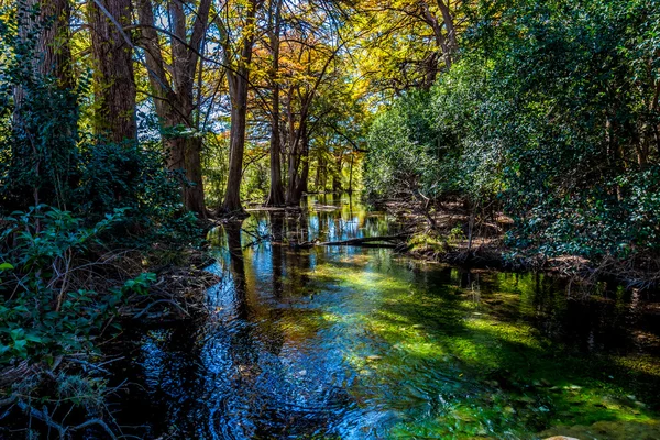 Na podzim listy na řece Crystal Clear Frio. — Stock fotografie